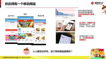 互联网食品营销解决方案 信息技术咨询服务精华解析